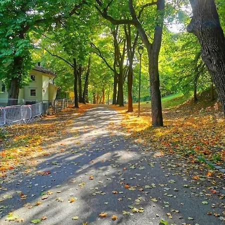 New, Unique, Sauna, Massage Bath, Balcony, Quiet * Oslo